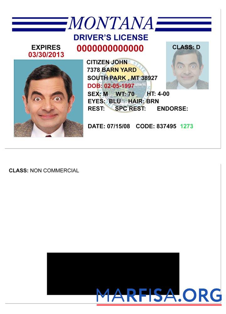 Blank USA Montana driving license version 3 template